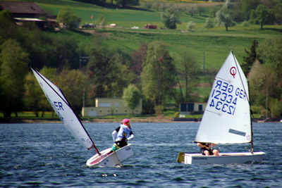 Opti-Segler auf dem Untersee Opti-Segler auf dem Untersee